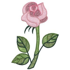 Rose 7