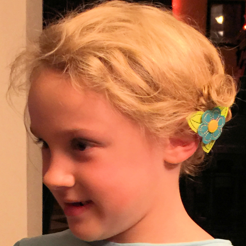 Flower Barrette